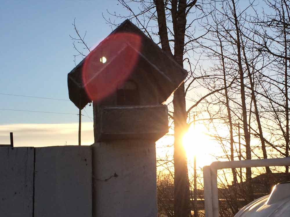 Image of Sunny Bird House for Purchase