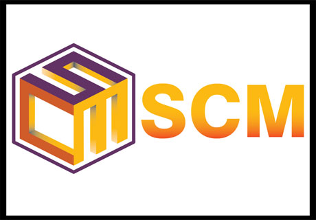 Small Cap Millionaires